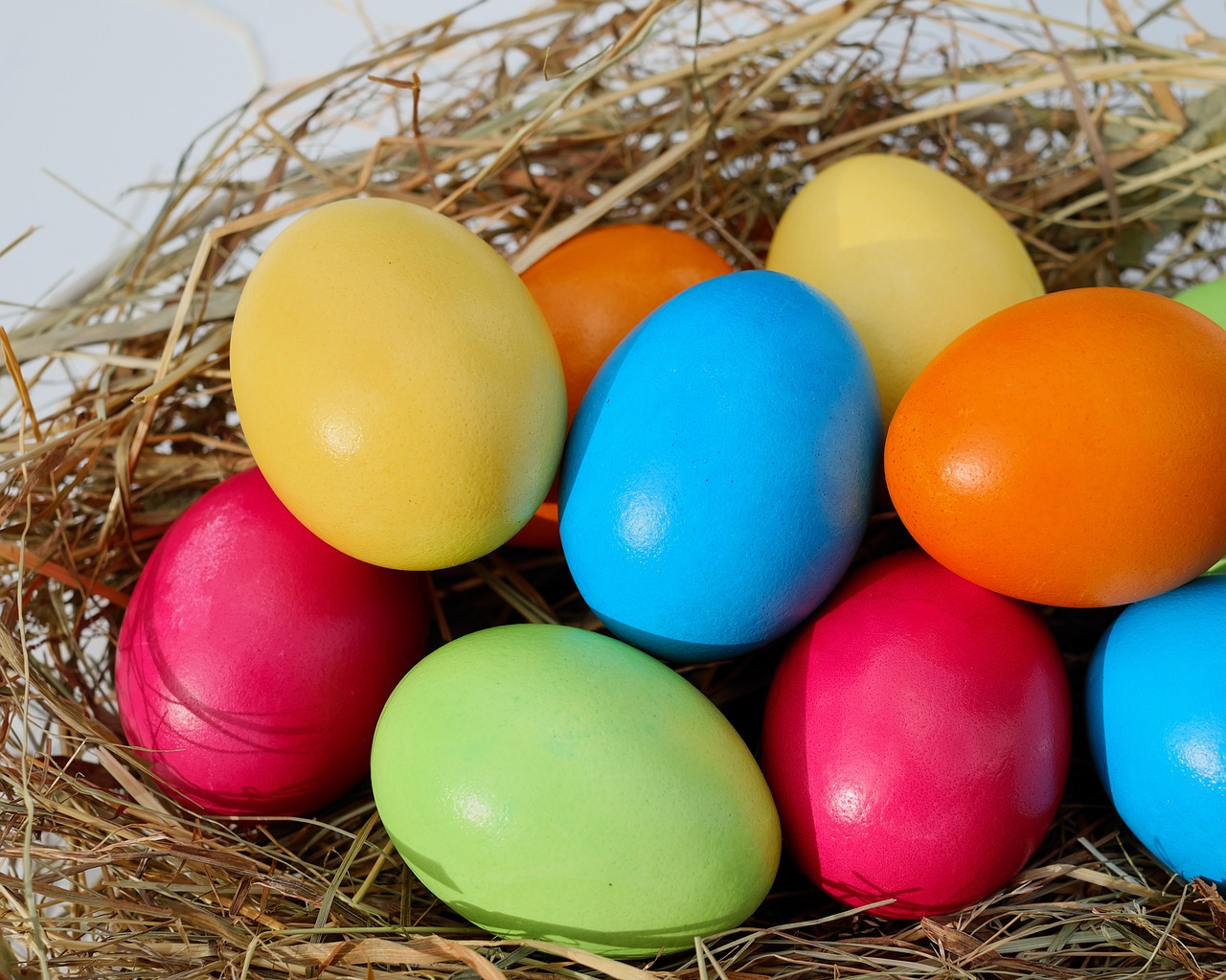 ¿Cuántos huevos ponen las ocas al año?