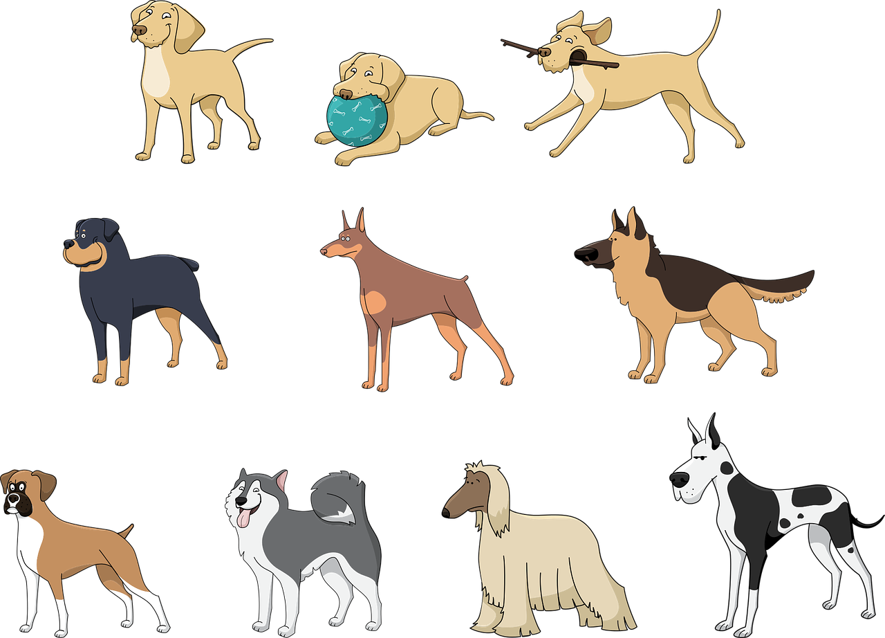 ¿Cuántos tipos de perros pastor hay y cuáles son?