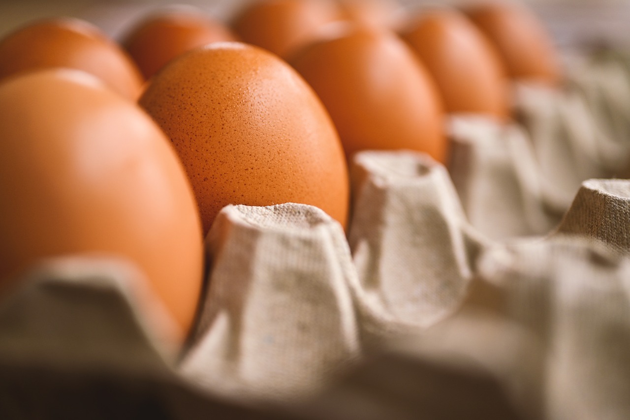 ¿Qué gallinas ponen los huevos de mejor calidad?
