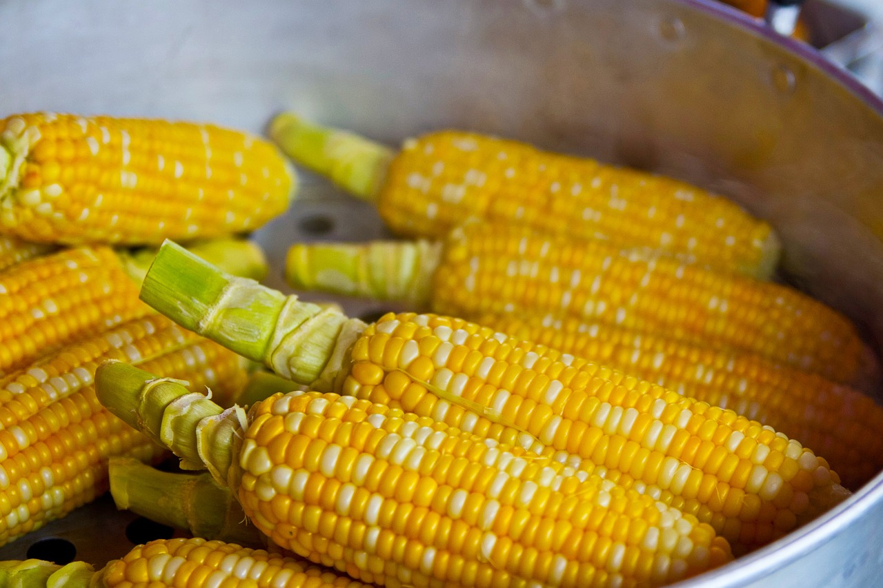 ¿Qué es un molino de maíz manual?