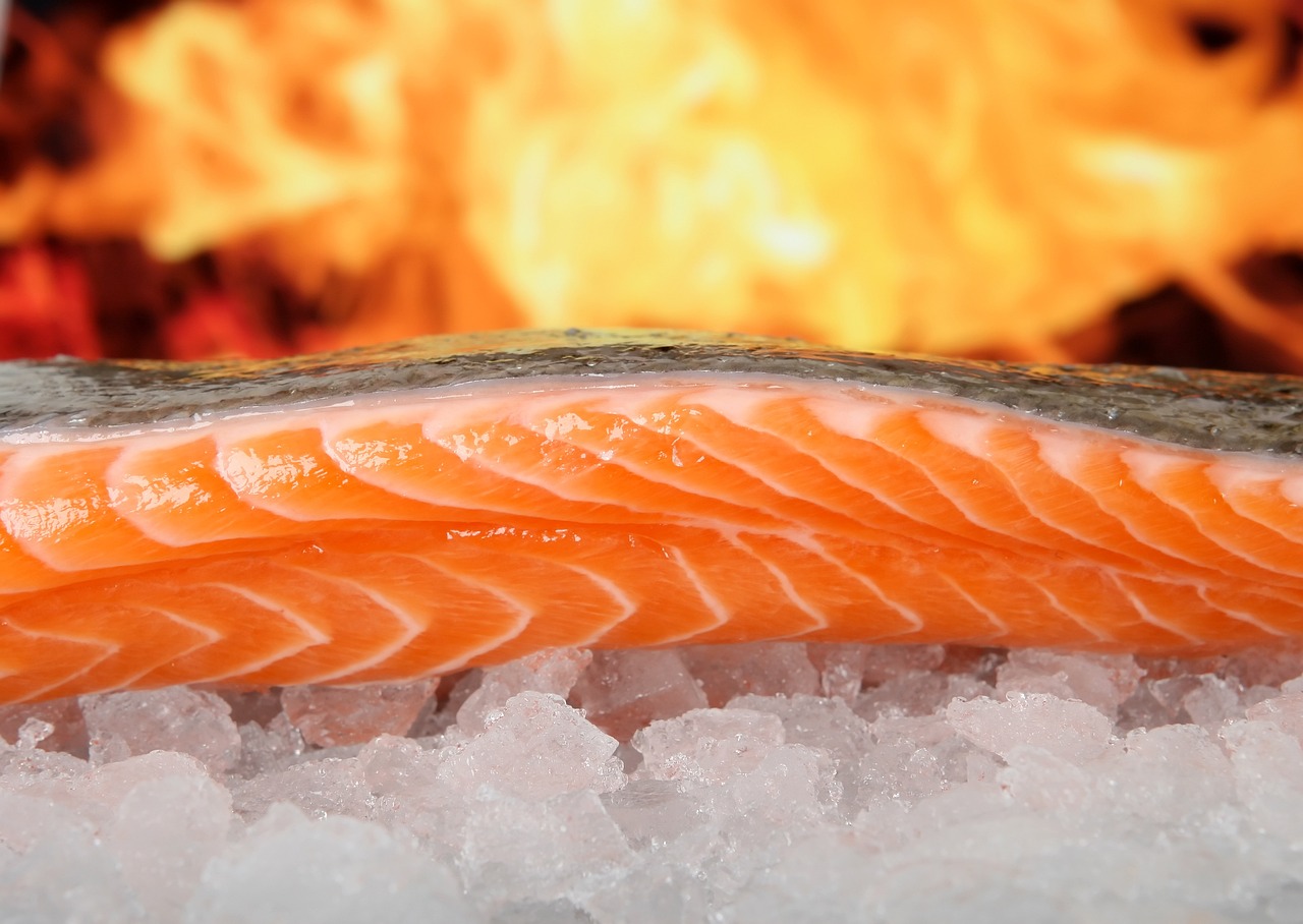 ¿Qué beneficios tiene tomar aceite de salmón?