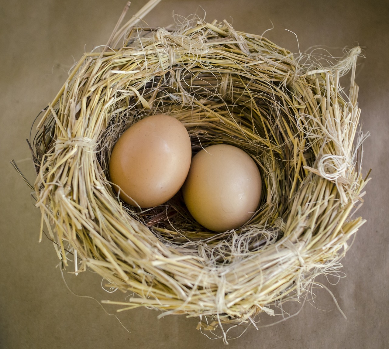 ¿Cuánto tiempo duran los huevos en una incubadora?