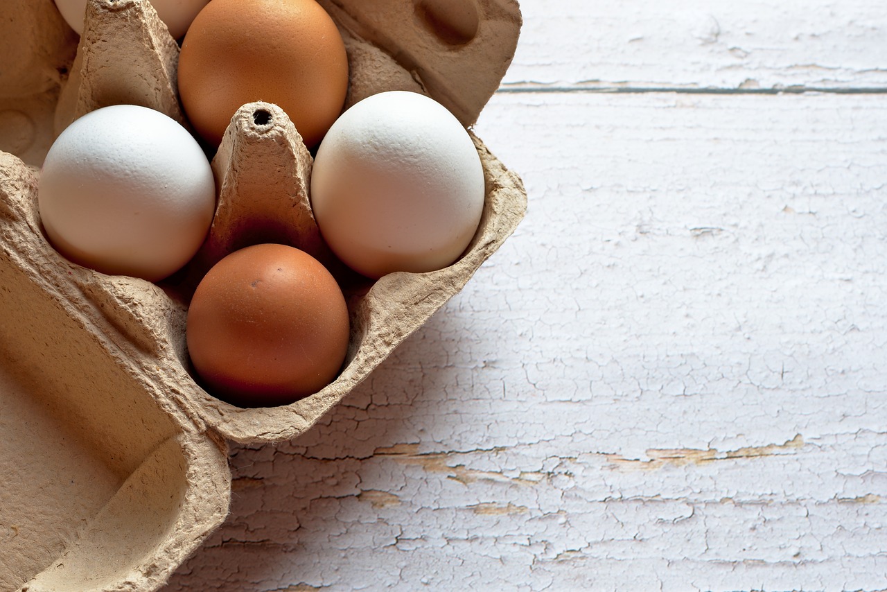 ¿Que tienen que hacer las gallinas para poner huevos?