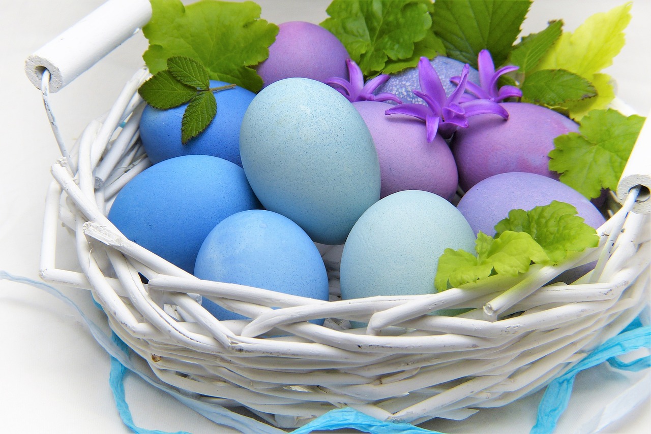 ¿Qué ave pone huevos color chocolate?