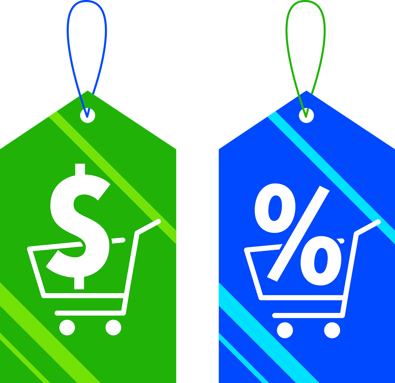 ¿Cuánto cuesta un conejo gigante?