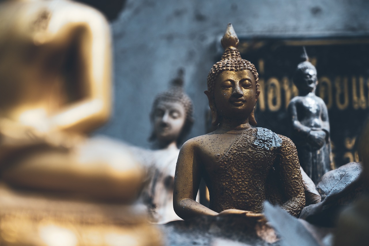 ¿Cómo se siembra la mano de Buda?