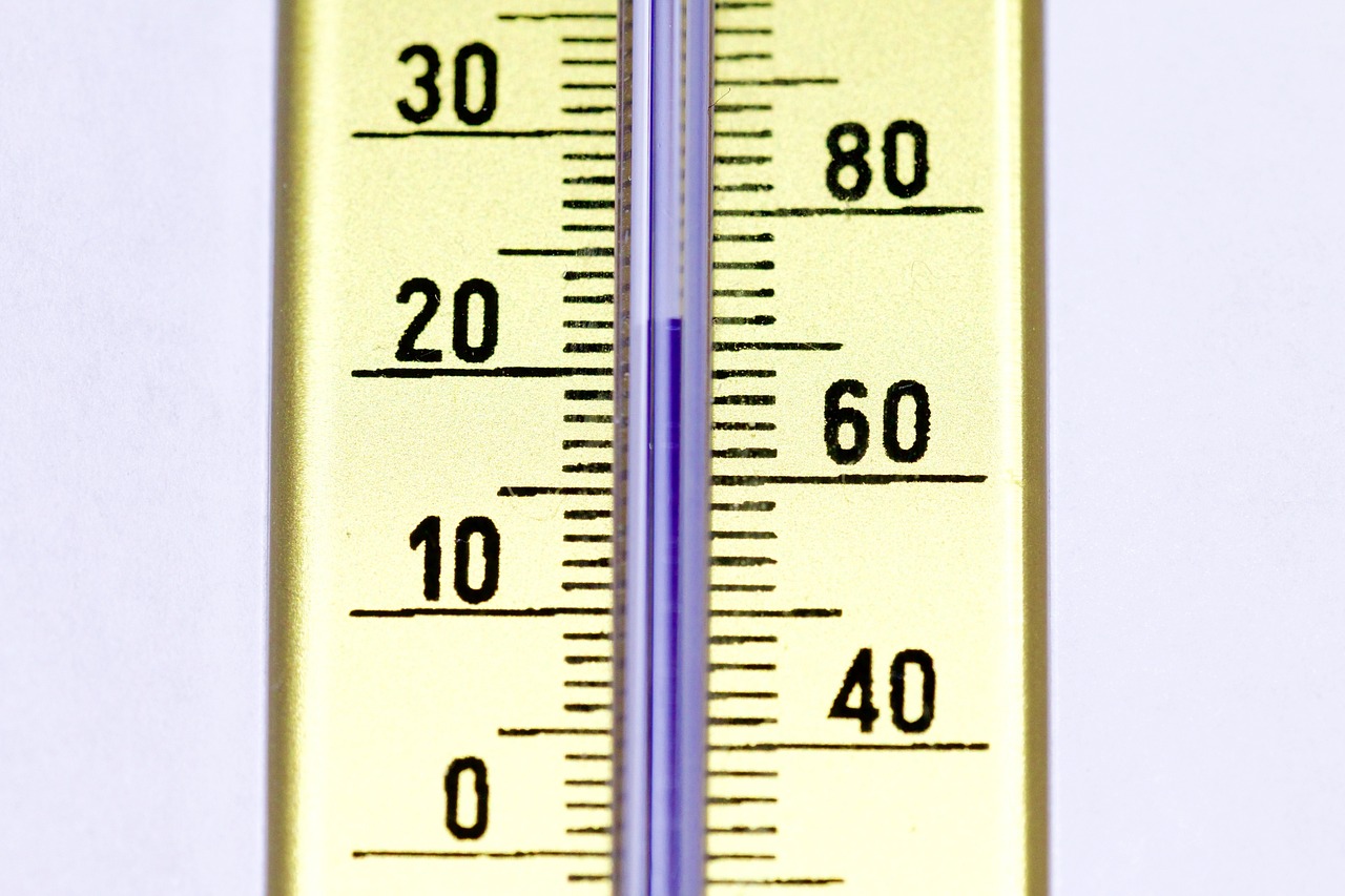 Cuánto tiempo se debe dejar el termómetro de mercurio? | granjaonline