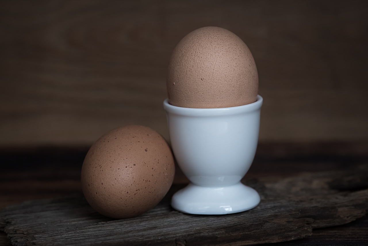 ¿Cómo se incuba el huevo de gallina?