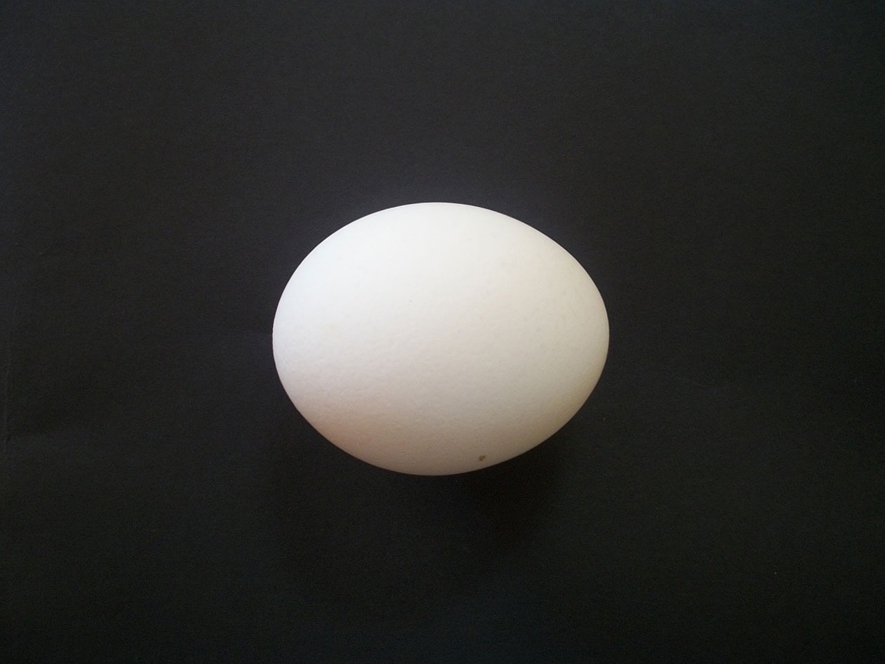 ¿Cómo se identifican los huevos de gallina?